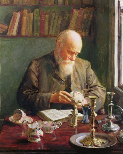 Der Kenner von Walter Bonner Gash